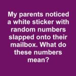 Stop tossing cracked terracotta pots. Try these 10 clever ways to reuse them around your garden