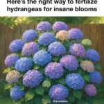 14 bulb planting mistakes sabotaging your spring blooms