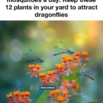 Don’t toss out your coffee grounds. Here are 10 brilliant ways to reuse them in your garden