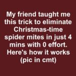 Stop pulling out dandelions. Here’s what you should be doing instead