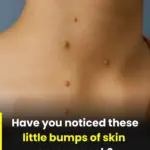 This idea is so creative! Can’t wait to try! 