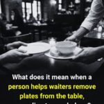 Christmas Cactus Care in November: 7 Steps for More Flowers and Growth