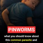 What We Discovered After Going Through My Dad’s Things