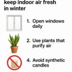 You’re doing it all wrong. Here’s the right way to clean humidifiers