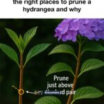 Stop trying to remove that—it’s not a weed. Here’s why