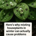 Had no clue about this