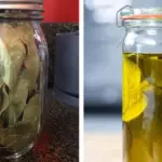 Benefits of Putting Garlic in a Glass of Water Overnight: The Morning Remedy People Still Swear By