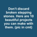 16 perennials for pots that thrive year after year