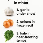 If you are a gardener, keep your egg cartons. Here’s why