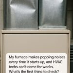 What Are the Benefits of Eating Avocado for Older Adults?