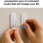 Here’s how to keep your poinsettia alive and colorful long after the holidays end