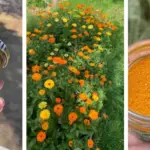 Don’t toss old garden pots just yet. Here are 10 winter-ready ways to repurpose them in your outdoor space.