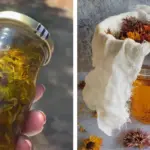 Sick of expensive avocados? Here’s the simplest way to grow them at home