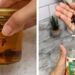 My nana taught me this hack to lift carpet stains in 2 mins with 0 work. Here’s how it works