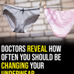 Here’s why cleaning dusty leaves is a New Year habit that makes plants thrive