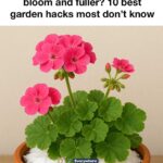 Stunning list! Anyone know the flower?