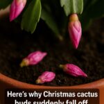 Lady stamps snowflakes with shimmering glaze on jars. A true seasonal favorite