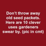 Most folks have no clue. Why your basil plant keeps wilting & the easiest hack to revive it