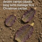 A Simple Fridge, A Powerful Life Lesson