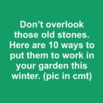 If you are a gardener, keep your egg cartons. Here’s why