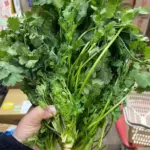 After 80: 5 Realities About Loneliness and Aging That Few Dare to Speak