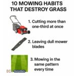 Here’s why cold exposure can backfire for a Christmas cactus even though many people recommend it for Christmas cactus blooms