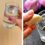 How to Make Bay Leaf Oil and Why It’s a Hidden Remedy for Pain & Inflammation