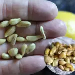 My mama needs a fix bad