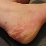 The Benefits of This Essential Culinary Plant for Brain Health in Adults Over 60