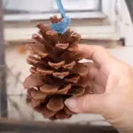 7 Brilliant Reasons to Never Throw Away Pistachio Shells