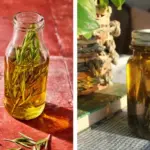 Here’s why most houseplants suffer from too much water in winter and what to do instead