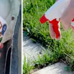 Twist red tape around pool noodles in white fabric. Tell me this isn’t genius