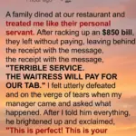 Can someone help identify this plant for me?