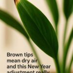 I didn’t know you could do this