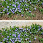 Which Groups of Men Usually Prefer Slim Women?