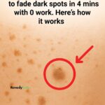 The Most Serious Illness from Sleeping with Cats: Prevention and Tips