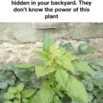 I didn’t know you could do this