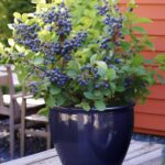 Why didn’t I think of this sooner?!