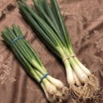 My Neighbor Refused to Pay My 73-Year-Old Mother for Babysitting, Saying She Was ‘Just Sitting at Home Anyway’ – So I Stepped In