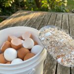 The Name in Crayon That Changed Everything