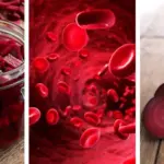 How and when to prune blueberry bushes so you get the biggest harvest