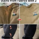 HEALTH BENEFITS OF CLOVES: How to Use Cloves to Combat Respiratory Infections and Bronchitis