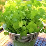 While simmering chili for a cold night, I was puzzled when my neighbor added a splash of coffee to the pot. Why would you do that?