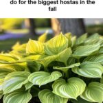 If you have leftover soil bags, don’t throw them out. Here are 10 smart ways gardeners reuse them every season