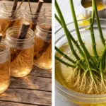 The Distance Between Us Was Closer Than I Ever Realized