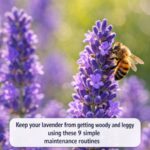 The bones in my cooked chicken are dark gray or black — is that dangerous?