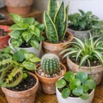 Most have no idea how this is done