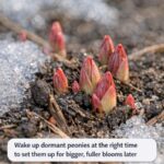 I swear I check for these!