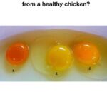 Test your IQ: Can you solve this test?