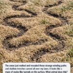 You Must Choose One Drink To Live Without: Your Answer Reveals Your True Personality